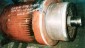 Earth fault relay QOP should have detected this fault before this much of damage