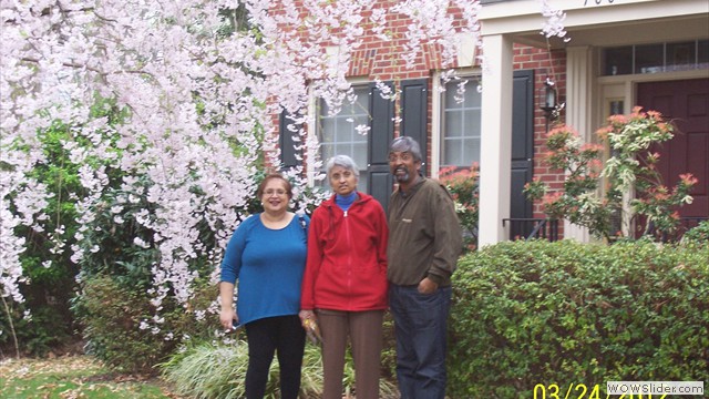 ravi, mihira, chndana