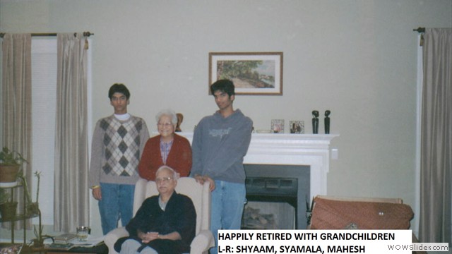 retired life in vienna usa 95